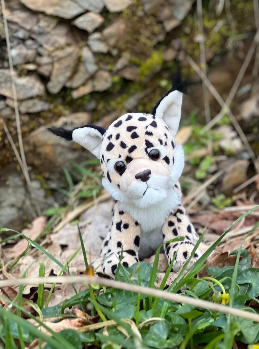 Charlie Bears 【ちいさいぬいぐるみ】Cuddle Cub Leopard　レオパード　ヒョウのぬいぐるみ